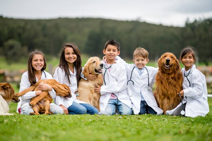 Sydney Future Vet Kids Camp