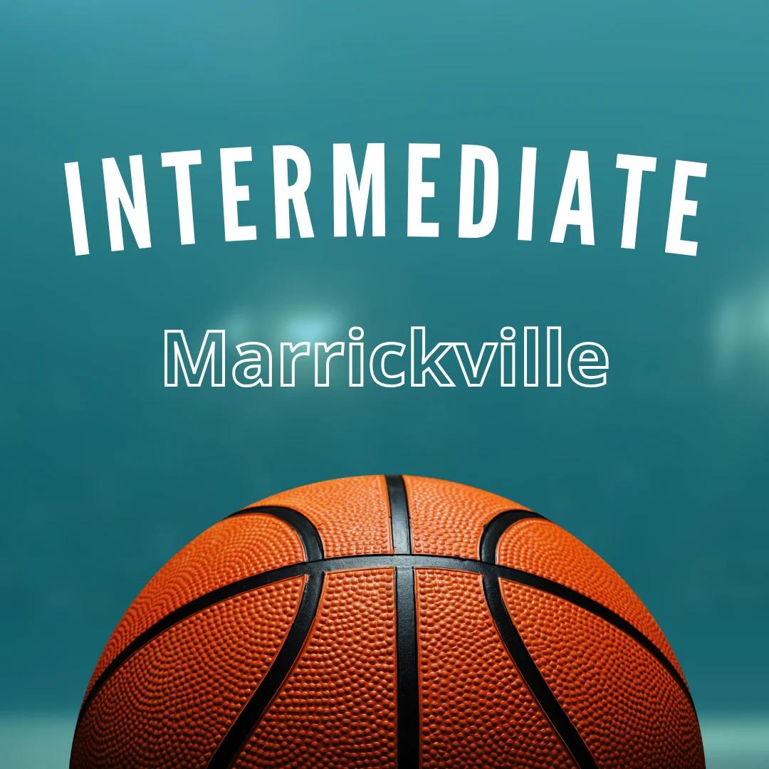 Little Ballers Intermediate Basketball Classes